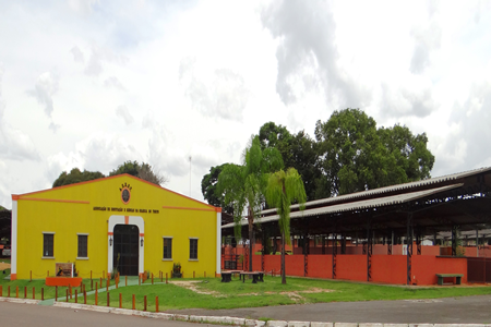 DSC05266.fw