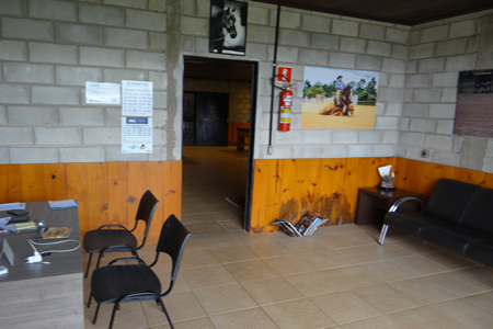 DSC05278.fw